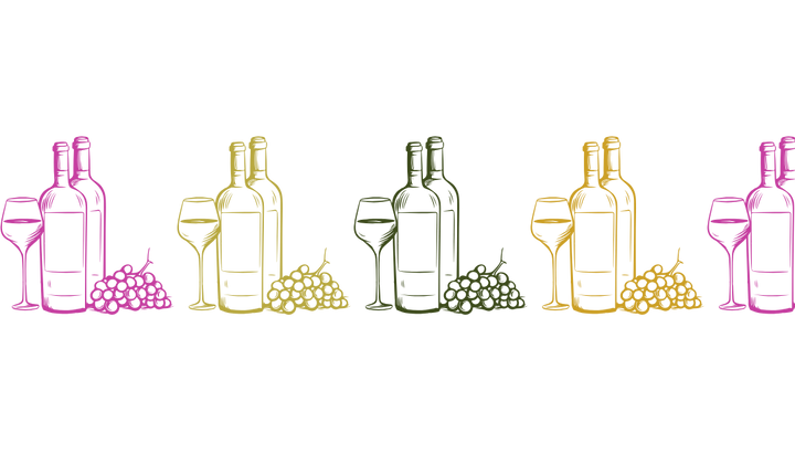 From Vine to Wine: The Life of a Grape